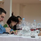 Diez vinos superan la Cata de Calificación de la DOP Sierra de Salamanca