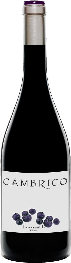 Cámbrico Tempranillo